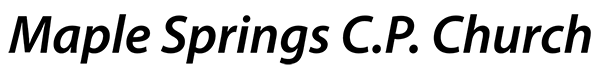maple springs text logo-600